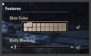 Character Creation - Features - Skin Color and Body Marking